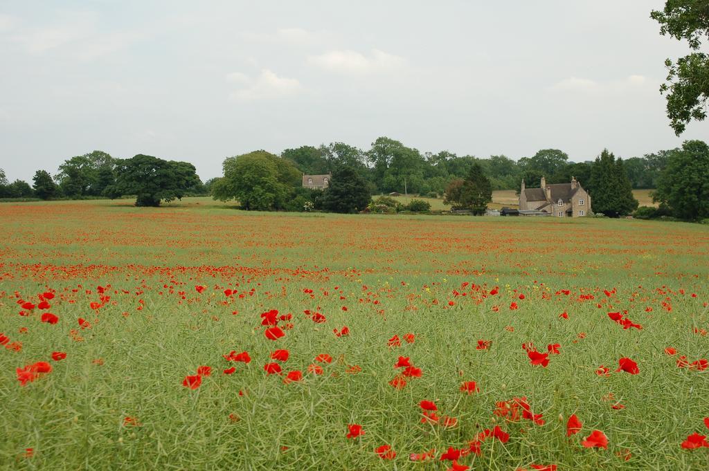 Woodland Guesthouse Stow-on-the-Wold Exterior foto
